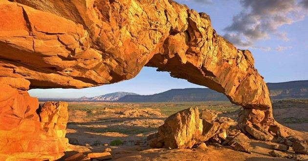 2023年屬虎的財運色