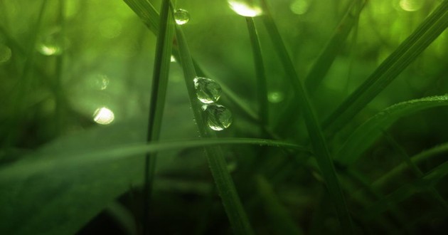 周公解夢夢見撿金項鏈