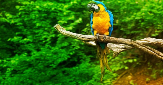 破太歲的東西丟了怎么辦