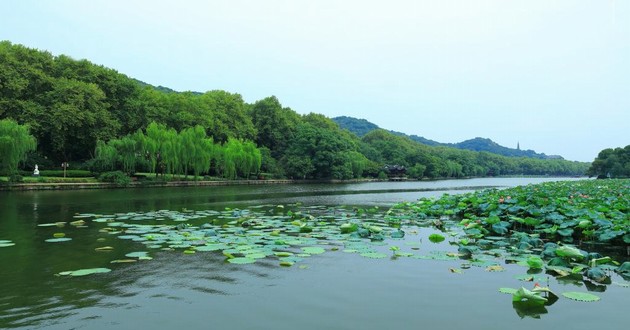 生日時辰怎么看五行