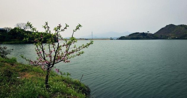 萬年歷忌嫁娶是什么意思