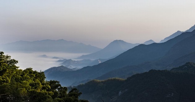 屬虎人犯太歲年份