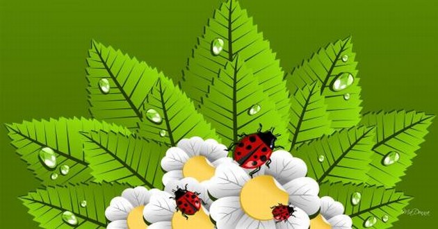 塔羅占卜我們之間的狀態