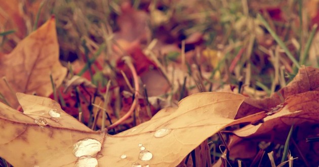 屬性金和火婚配相配么