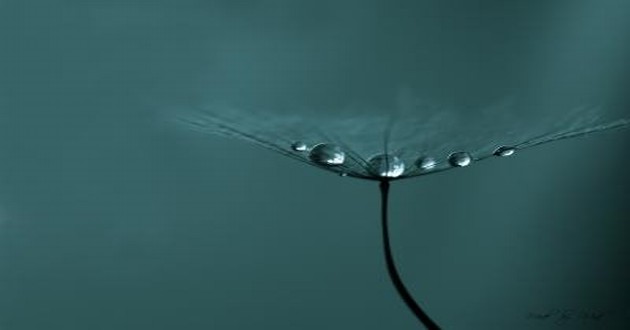 水性楊花的女生面相