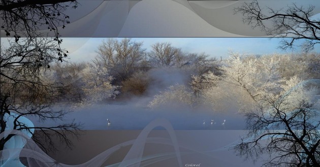 1977年屬蛇人女2023年下半年運勢